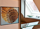 Badimpression im Ferienhaus Lejonet in Glowe auf Rügen